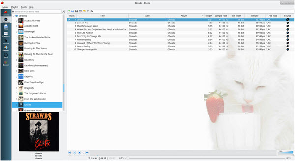 download the new for windows Strawberry Music Player 1.0.18